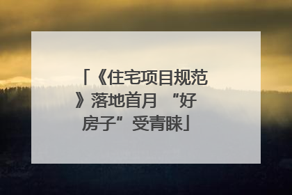 《住宅项目规范》落地首月 “好房子”受青睐