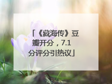 《藏海传》豆瓣开分，7.1分评分引热议