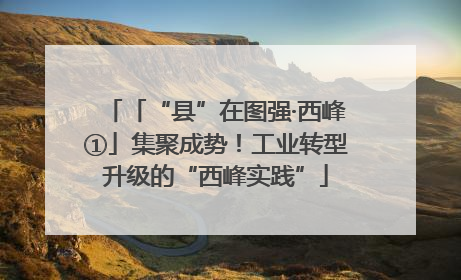 「“县”在图强·西峰①」集聚成势！工业转型升级的“西峰实践”