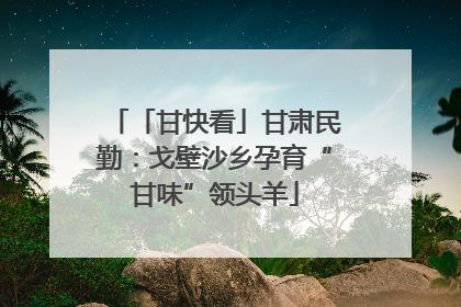 「甘快看」甘肃民勤：戈壁沙乡孕育“甘味”领头羊