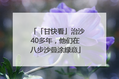「甘快看」治沙40多年，他们在八步沙叠涂绿意