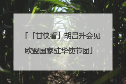 「甘快看」胡昌升会见欧盟国家驻华使节团