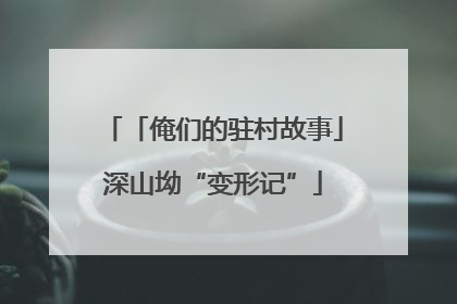 「俺们的驻村故事」深山坳“变形记”