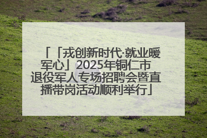 「戎创新时代·就业暖军心」2025年铜仁市退役军人专场招聘会暨直播带岗活动顺利举行