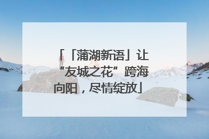 「蒲湖新语」让“友城之花”跨海向阳，尽情绽放