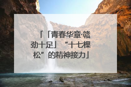 「青春华章·赣劲十足」“十七棵松”的精神接力