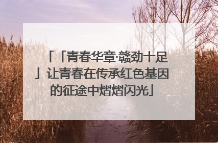 「青春华章·赣劲十足」让青春在传承红色基因的征途中熠熠闪光