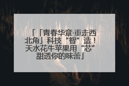 「青春华章·重走西北角」科技“智”造！天水花牛苹果用“芯”甜透你的味蕾