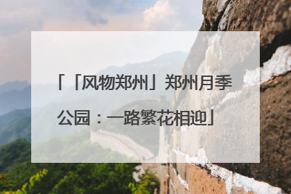 「风物郑州」郑州月季公园：一路繁花相迎