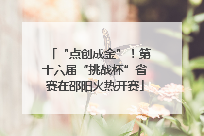 “点创成金”！第十六届“挑战杯”省赛在邵阳火热开赛