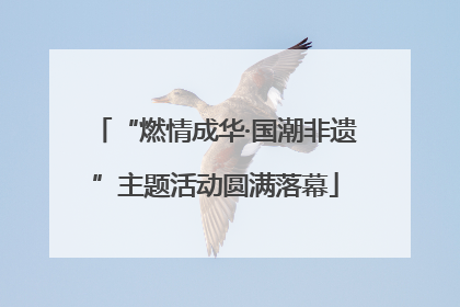 “燃情成华·国潮非遗”主题活动圆满落幕