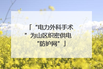 “电力外科手术”为山区织密供电“防护网”