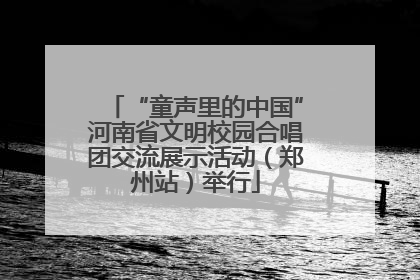 “童声里的中国”河南省文明校园合唱团交流展示活动（郑州站）举行
