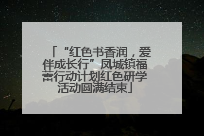 “红色书香润，爱伴成长行”凤城镇福蕾行动计划红色研学活动圆满结束