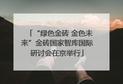 “绿色金砖 金色未来”金砖国家智库国际研讨会在京举行