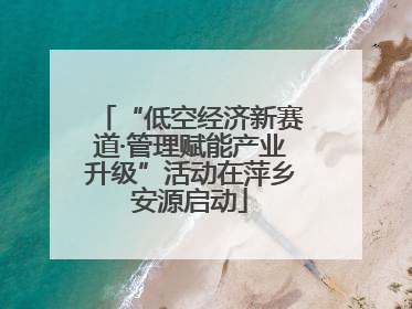 “低空经济新赛道·管理赋能产业升级”活动在萍乡安源启动