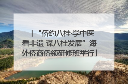 “侨约八桂·学中医 看非遗 谋八桂发展”海外侨商侨领研修班举行