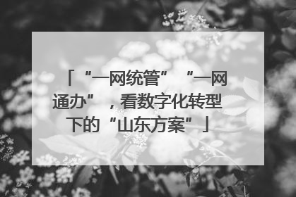 “一网统管”“一网通办”，看数字化转型下的“山东方案”