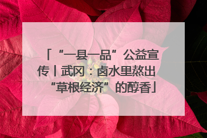 “一县一品”公益宣传丨武冈：卤水里熬出“草根经济”的醇香