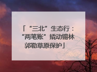“三北”生态行：“两笔账”撬动锡林郭勒草原保护