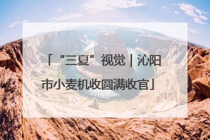 “三夏”视觉｜沁阳市小麦机收圆满收官
