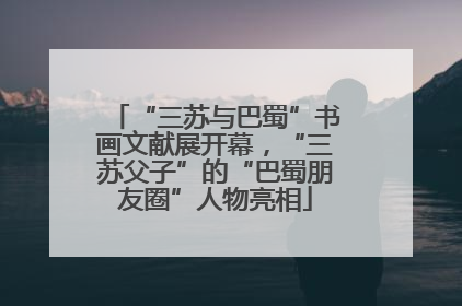“三苏与巴蜀”书画文献展开幕，“三苏父子”的“巴蜀朋友圈”人物亮相