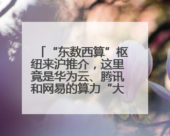 “东数西算”枢纽来沪推介，这里竟是华为云、腾讯和网易的算力“大本营”