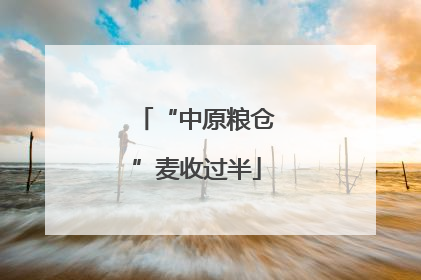 “中原粮仓”麦收过半
