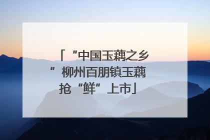 “中国玉藕之乡”柳州百朋镇玉藕抢“鲜”上市