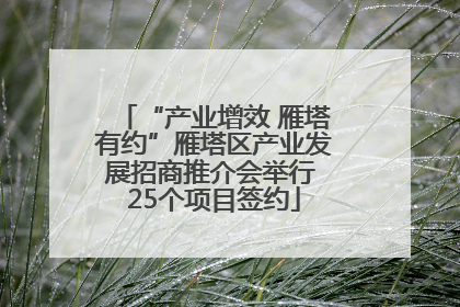 “产业增效 雁塔有约”雁塔区产业发展招商推介会举行 25个项目签约