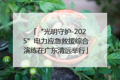 “光明守护-2025”电力应急救援综合演练在广东清远举行