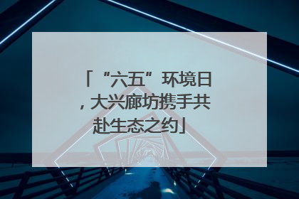 “六五”环境日，大兴廊坊携手共赴生态之约