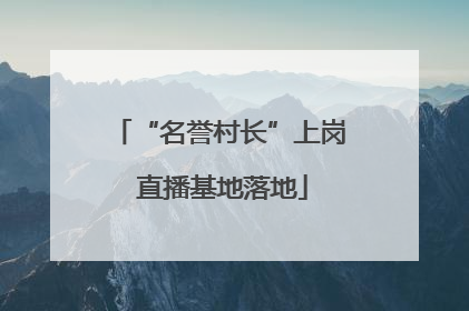 “名誉村长”上岗 直播基地落地