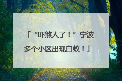 “吓煞人了！”宁波多个小区出现白蚁！