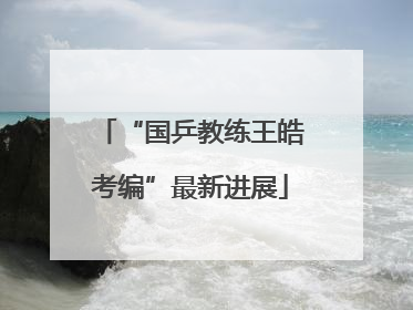 “国乒教练王皓考编”最新进展