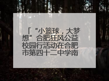 “小篮球，大梦想”合肥狂风公益校园行活动在合肥市第四十二中学南城分校圆满落幕