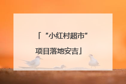 “小红村超市”项目落地安吉