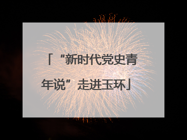 “新时代党史青年说”走进玉环