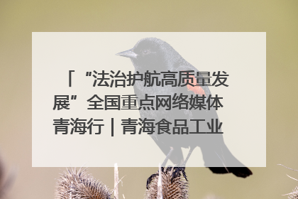 “法治护航高质量发展”全国重点网络媒体青海行｜青海食品工业协会：架起“青字号”美食的产业化桥梁