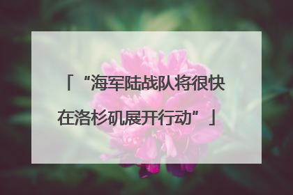 “海军陆战队将很快在洛杉矶展开行动”