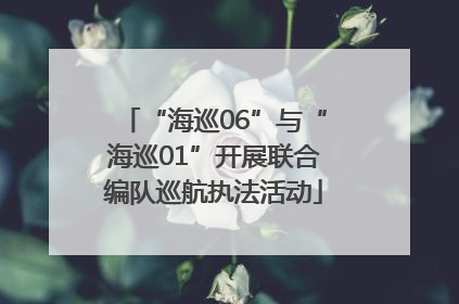 “海巡06”与“海巡01”开展联合编队巡航执法活动