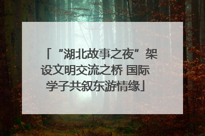 “湖北故事之夜”架设文明交流之桥 国际学子共叙东游情缘