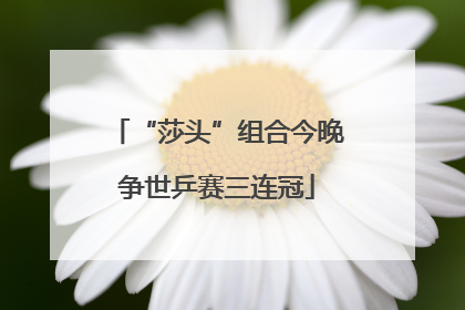 “莎头”组合今晚争世乒赛三连冠