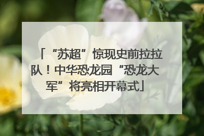 “苏超”惊现史前拉拉队！中华恐龙园“恐龙大军”将亮相开幕式