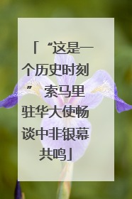 “这是一个历史时刻” 索马里驻华大使畅谈中非银幕共鸣