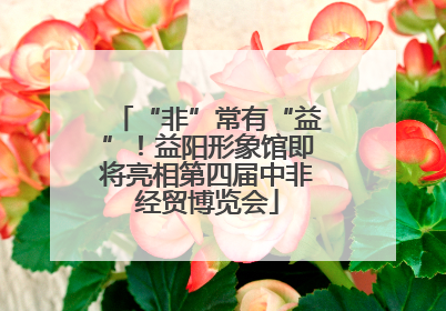 “非”常有“益”！益阳形象馆即将亮相第四届中非经贸博览会