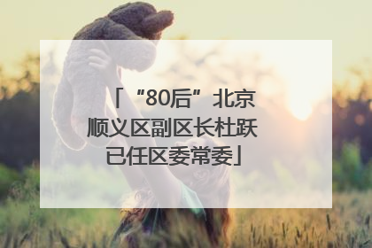 “80后”北京顺义区副区长杜跃已任区委常委