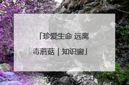 珍爱生命 远离毒蘑菇｜知识窗