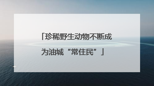 珍稀野生动物不断成为油城“常住民”