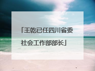 王乾已任四川省委社会工作部部长